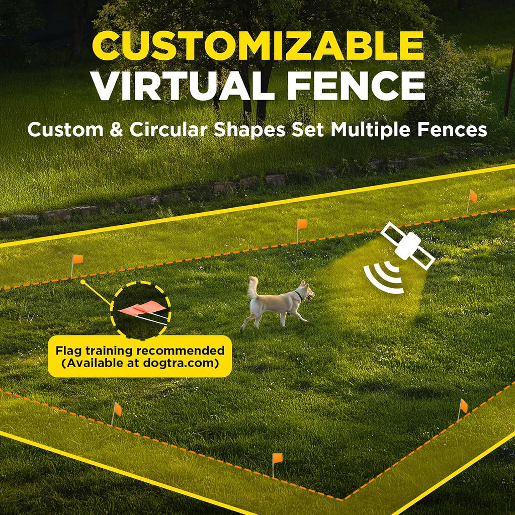 Dogtra Training Flags for GPS Fence/SMART Fence – 50-Pack Neon Orange Boundary Markers – Flexible, Weather-Resistant Yard Flags for Wireless Fence Training, Pet Containment, Safe Outdoor Setup