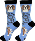 E&S Pets Pet Lover Socks by ESPETS