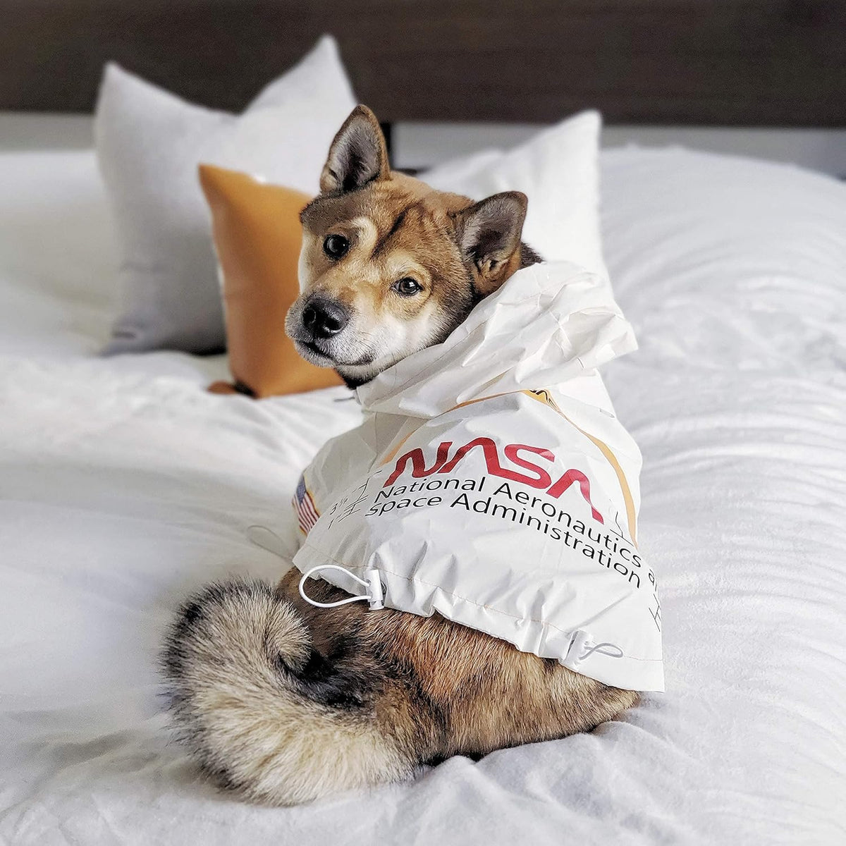 ChoChoCho NASA Dog Raincoats, Reflective Rain Jacket Water Proof, Dog Clothes, Cat & Puppy Stylish Streetwear Outfit (White, S)