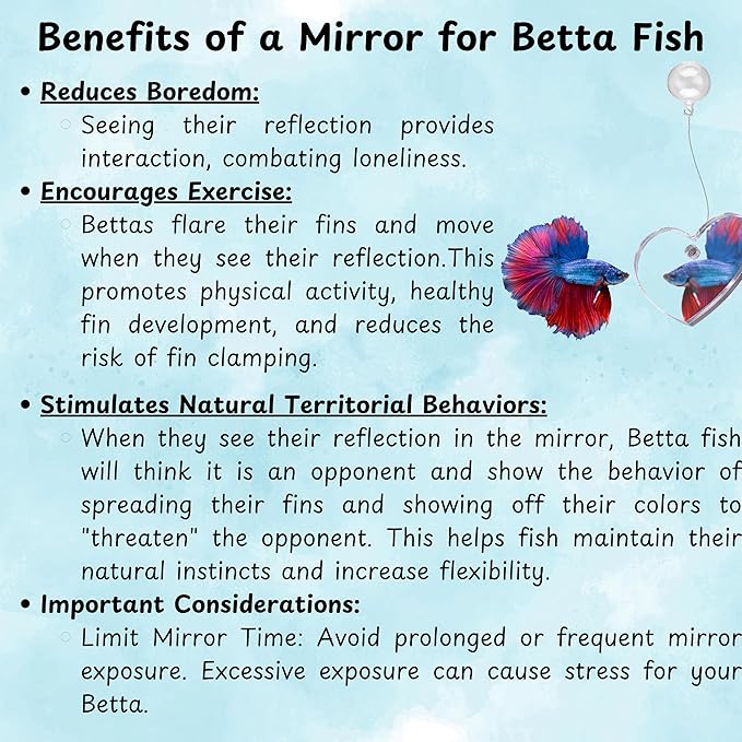 Betta Ring and Mirror Toy for Aquarium, Floating Exercise Mirrors for Fish Tank - Image 7