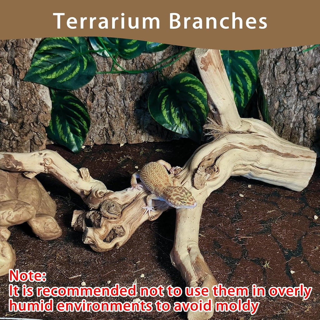 BNOSDM Reptile Branches, 11.5-14.1inch Snake Climbing Branch, Terrarium Wood Branch Decor, Bearded Dragon Tank Climbing Accessories for Lizard, Gecko, Frog,Chameleon
