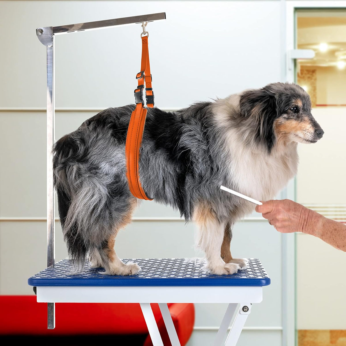 Jelly Pet Dog Belly Loop Restraint for Pet Grooming Table and Tub - Easy to Clean and Waterproof (Purple) | Made in the USA