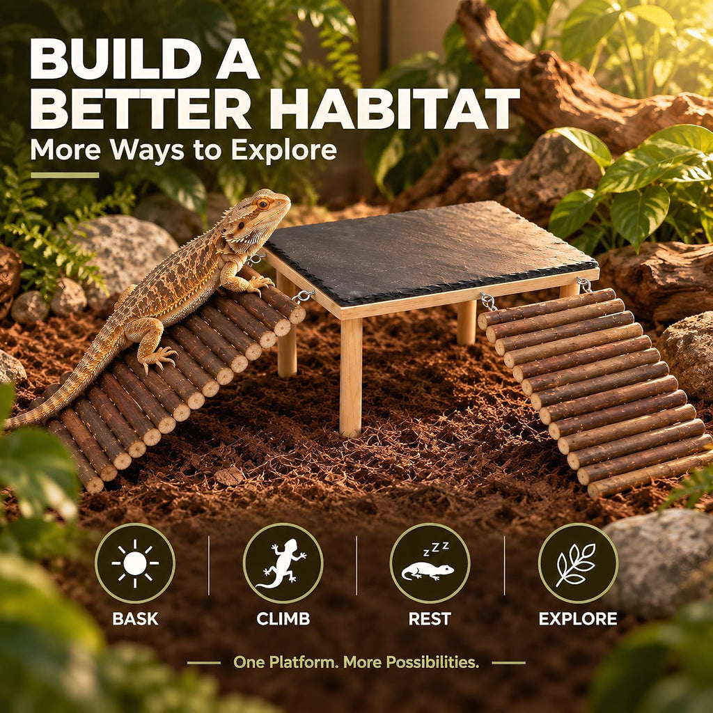 Bearded Dragon Basking Platform with 2 Wooden Climbing Ramp