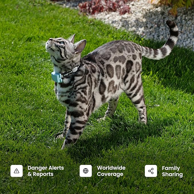 Tractive XL Smart Dog GPS Tracker | Live Pet Tracker - Image 8