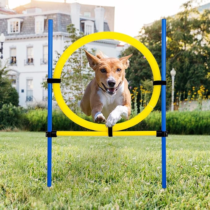 Pet Prime Dog Agility Training Equipment by PetPrime