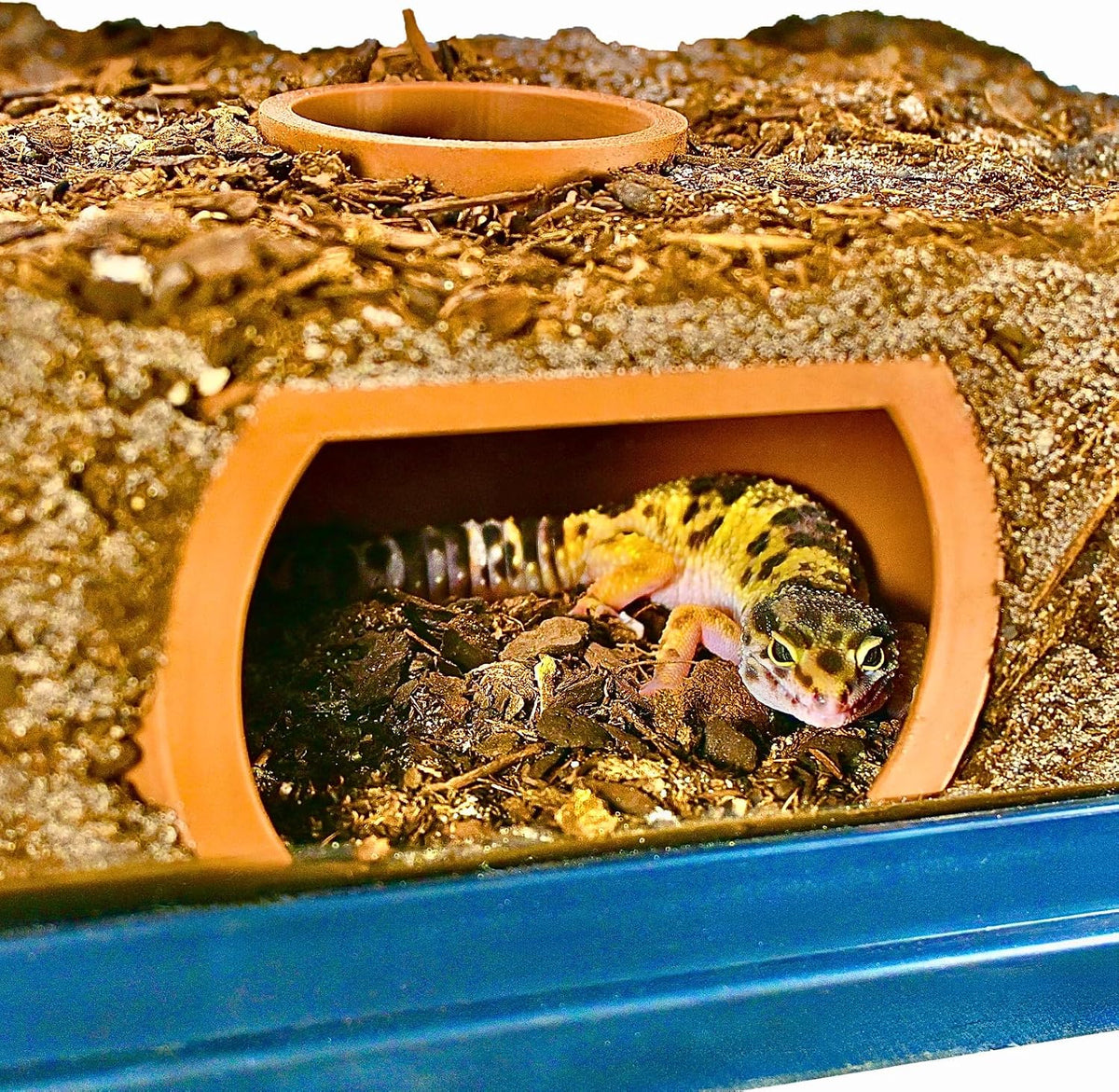 Reptile Underground Cave Viewing Hide | Hognose Snake Leopard Gecko Hide Habitat Tank Enrichment | Reptile Decoration Accessories Supplies Toys Ornaments