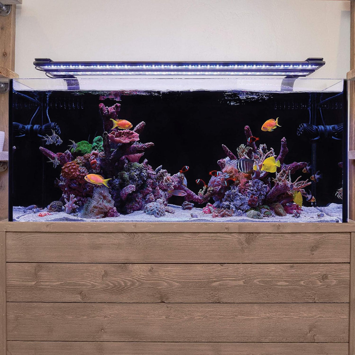 CURRENT USA Dual Adjustable Aquarium Light Arm Mount Kit