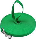 Long Dog Puppy Obedience Recall Training Agility Lead, Leash by DowntownPetSupply