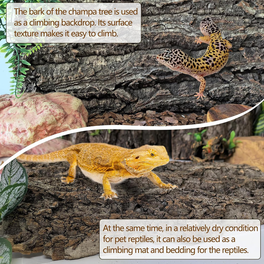 Cork Terrarium Background 11.8x7.9in 10PCS Natural Reptile Cork Bark Flats Terrarium Board Bearded Dragon Climbing Wall Mat Tank Accessories Decor for Lizard Chamelon Snake Turtle Spider Crested Gecko