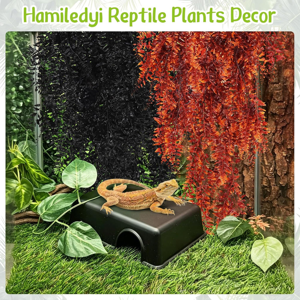 Hamiledyi Reptile Plants for Terrarium, Hanging Tank Greenery