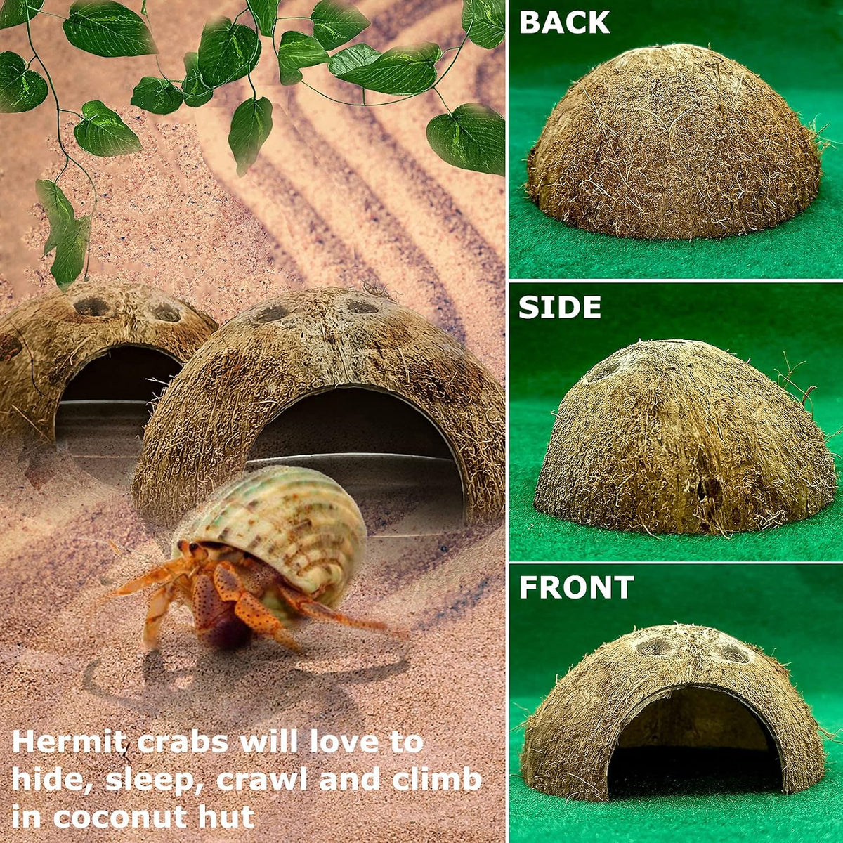 Reptile Hideouts Natural Coconut Shells Hut Hermit Crab Climbing Toys and 2PCS Reptile Feeding Box Snake Breeding Box Transparent Animal Habitat for Bearded Dragon Lizard Spider Frog Scorpio