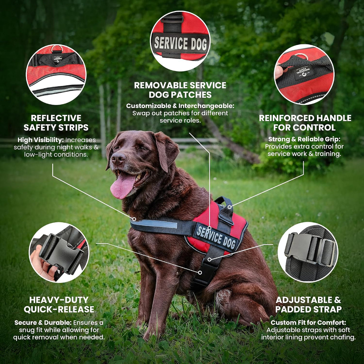 Service Dog Vest with Hook and Loop Straps & Matching Leash Set - Harnesses from XXS to XXL - Service Dog Harness Features Reflective Patch and Comfortable Mesh Design (Pink, XXS)