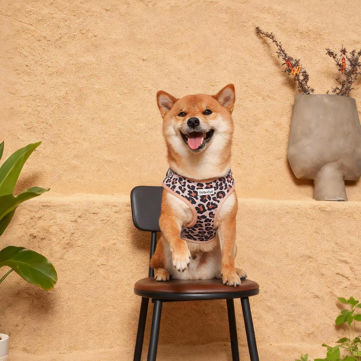 Leopard Dog Harness – Stylish Adjustable No Pull Harness for Small & Medium Dogs, Matching Dog Mom Lifestyle for Beach, Travel & Daily Walks (Leopard, M)