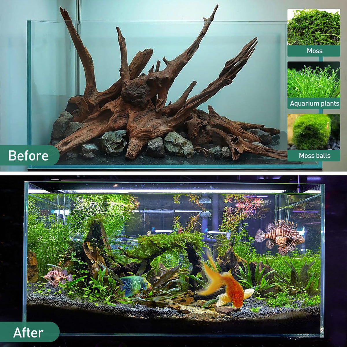 WDEFUN 3 PCS Natural Driftwood for Aquarium Decor Fish Tank Decorations