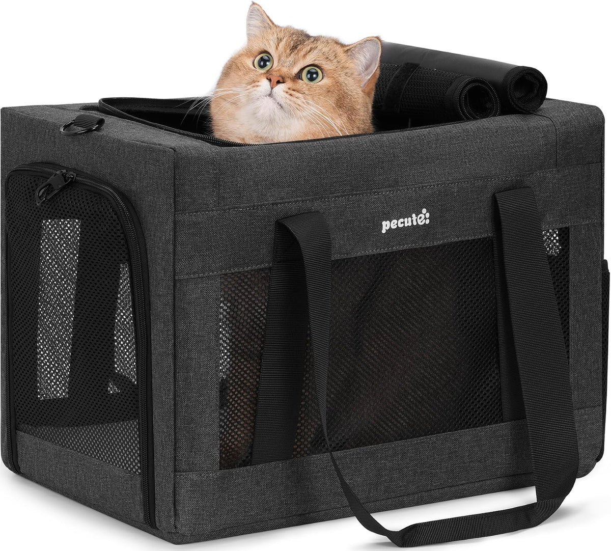 Pecute Cat Carrier, Portable Pet Carrier with Stable Structure, Dark Grey