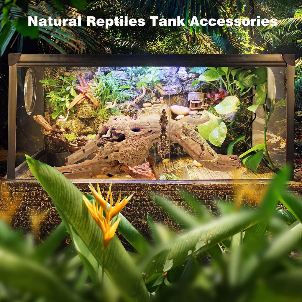 WDEFUN Natural Spiderwood for Aquarium Decor 5-Piece 4''-8'' Long Natural Driftwood Branches for Fish Tank Decorations