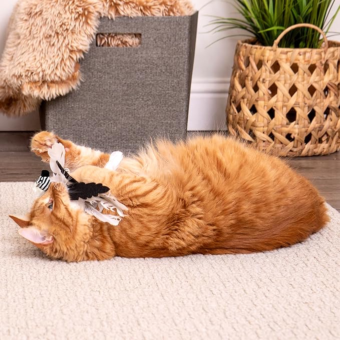 Instincts by SmartyKat HappyNip Zingy Zebra Feathered Toss & Chase Interactive - Image 3