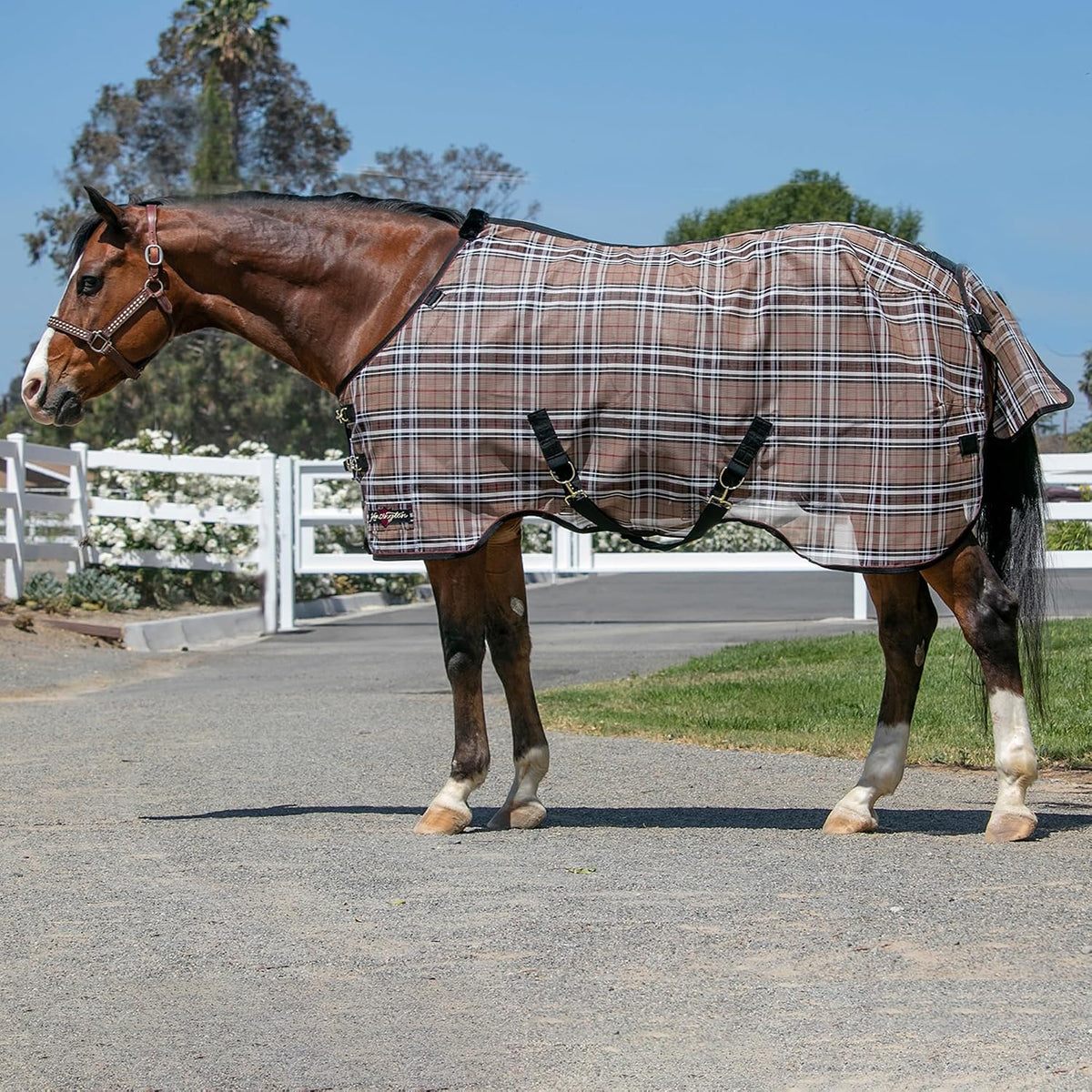 Kensington Signature Mini Textilene Protective Fly Sheet