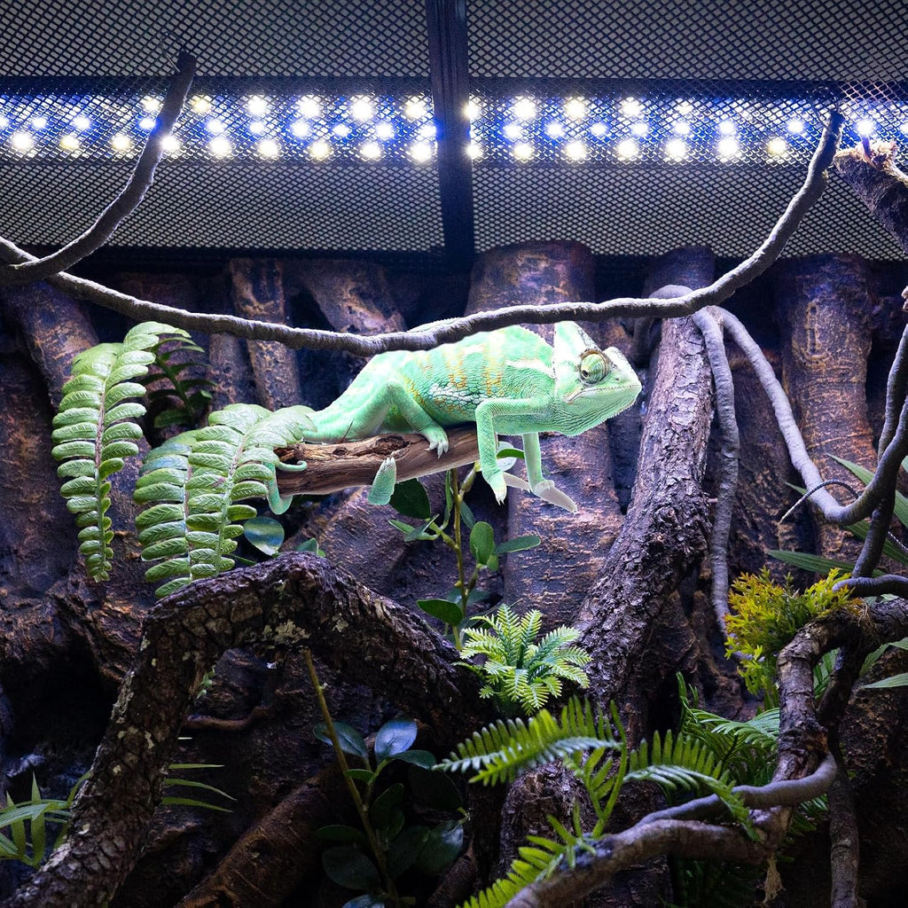 REPTI ZOO UVB Reptile Light with Dimming | 10.0 UVB LED Light Bulb for Desert Reptile | 12W 28 inch UVB Lamp for Bearded Dragon Snake Gecko Lizard | Reptile Light Bar Fixture with Controller