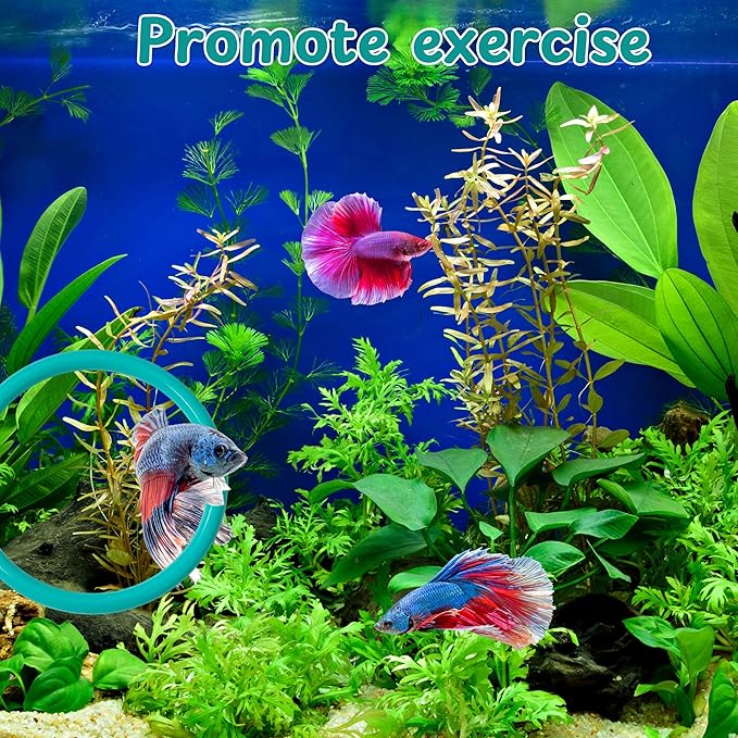 2 pcs Betta Ring Enrichment Toys - Image 3