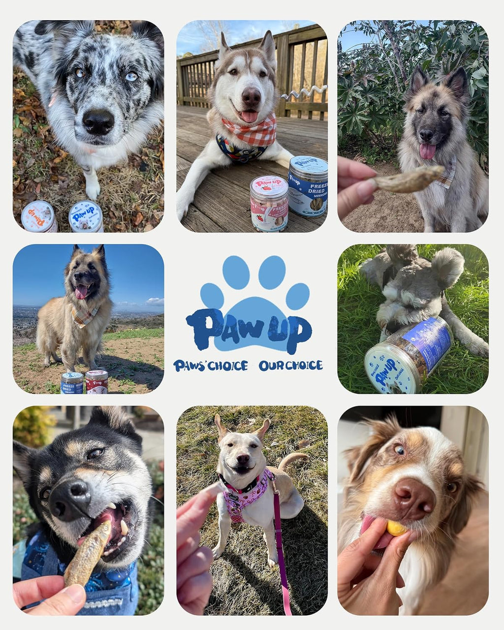 PAWUP Freeze Dried Minnows Dog Treats – 100% Single Ingredient