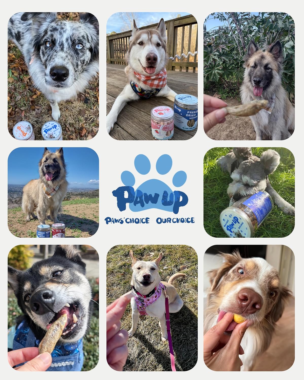 PAWUP Freeze Dried Minnows Dog Treats – 100% Single Ingredient