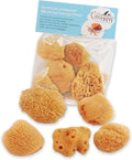 Natural Sea Sponges Hermit Crabs 5 Pack Unbleached, Drinking Aquarium Decor