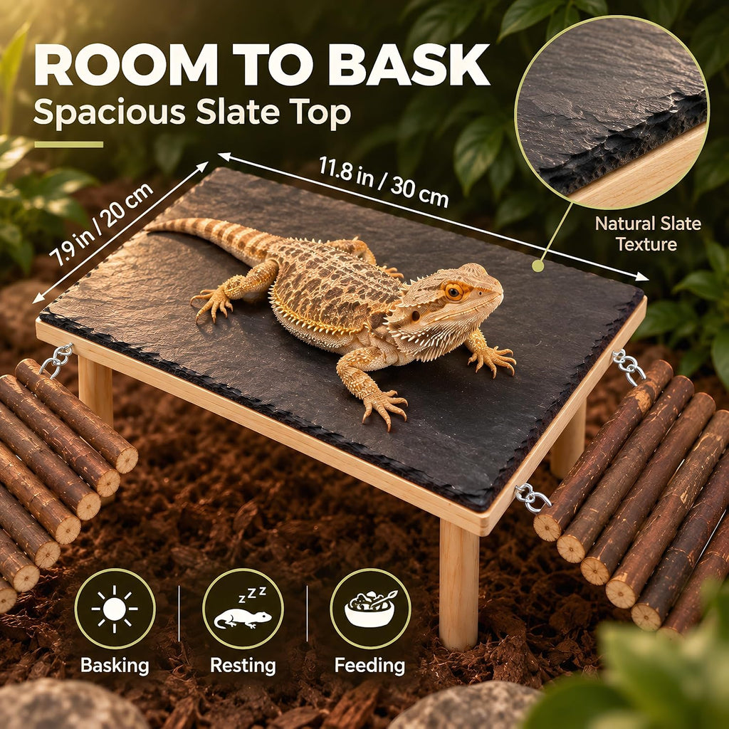 Bearded Dragon Basking Platform with 2 Wooden Climbing Ramp