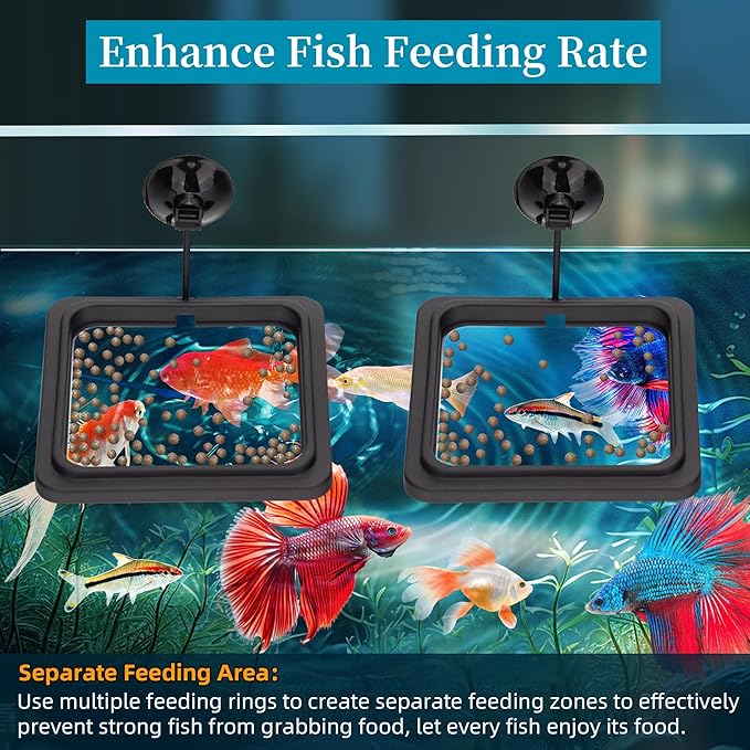 Fish Feeding Ring Aquarium Square Floating Food Feeder Circle - Image 4