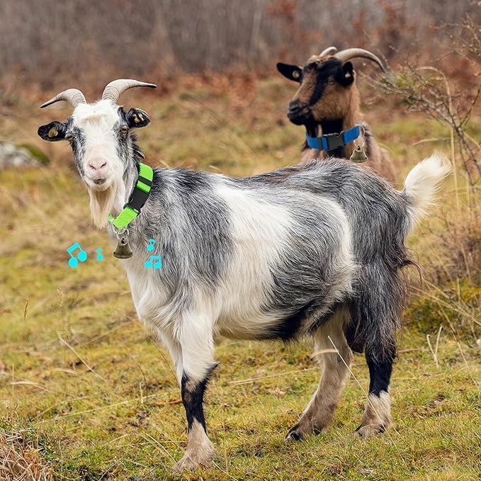 3 Pack Goat Collars with Bells, Adjustable Pet Collar & Anti-Lost Loud Bronze - Image 6
