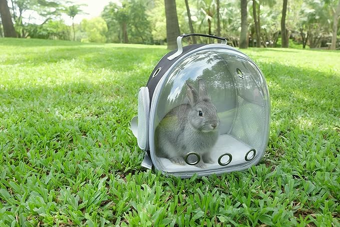 Small Animal Carrier Guinea Pig Backpack, Transparent, Breathable Backpack - Image 5