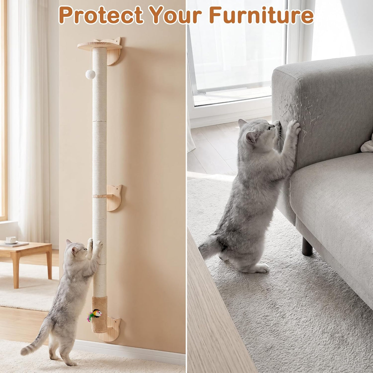 Cat Wall Climbing Post, 60" Tall Cat Climbing Wall Systems for Large Cats