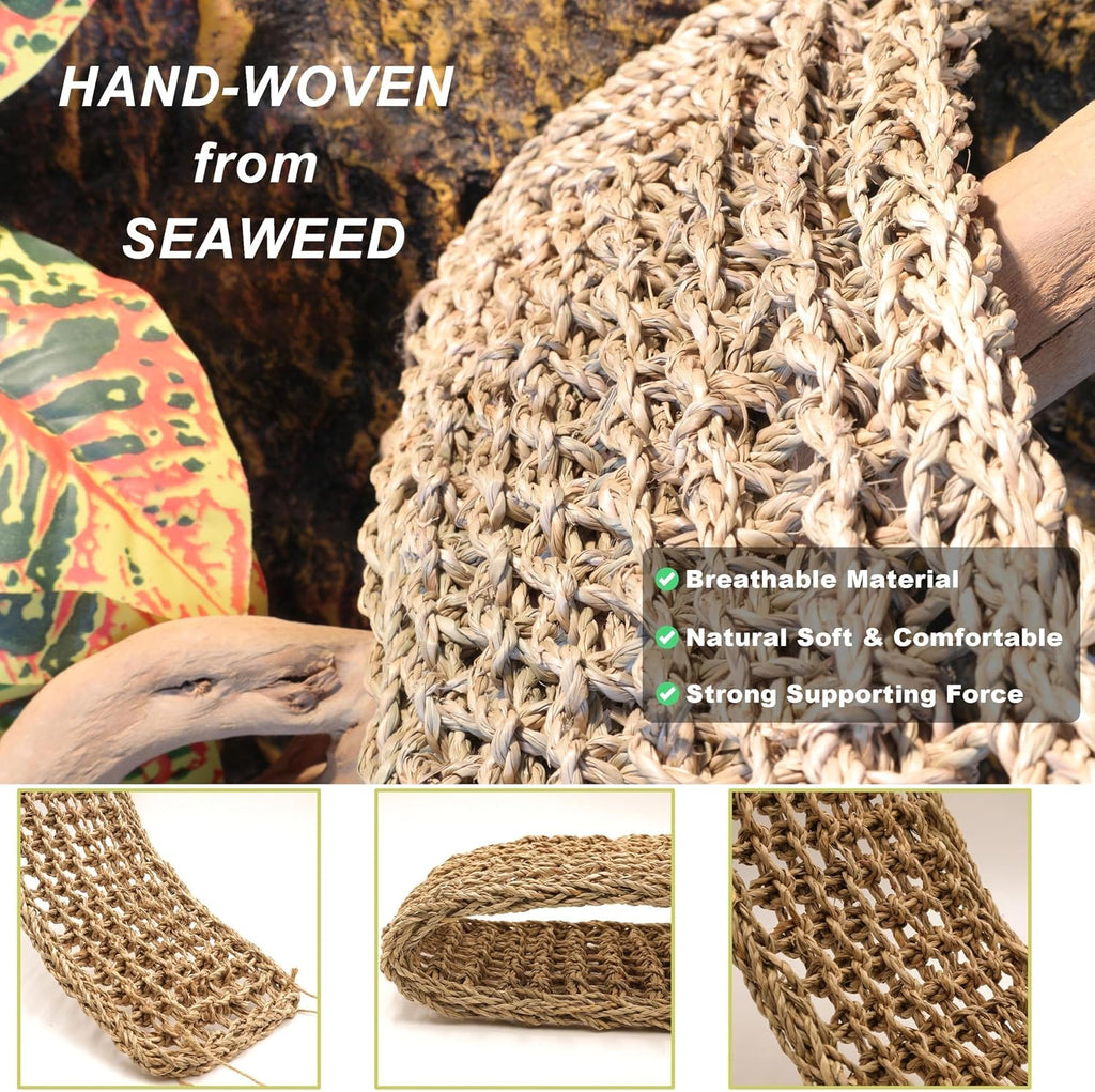 Bearded Dragon Hammock Lizard Tank Accessories Reptile Lounger Amphibian Habitat Décor for Chameleon, Geckos, Snakes, Hermit Crab, Lguana Reptiles, Tortoises