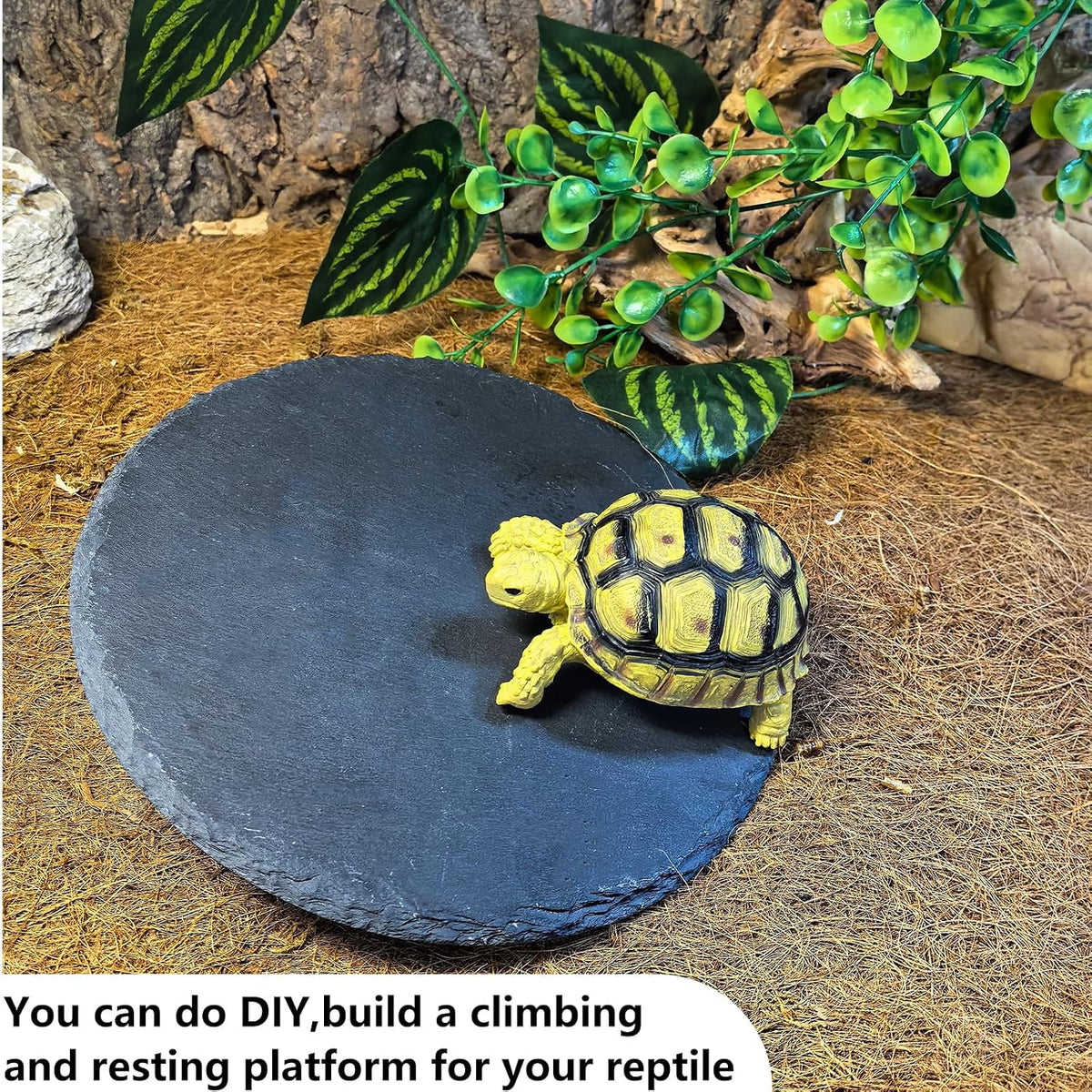 2Pcs Reptile Basking Platform 7.8in Rock Slate Plate Food Bowl for Tortoise