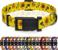 Dog Collar, Floral Puppy Collar by Seyezo