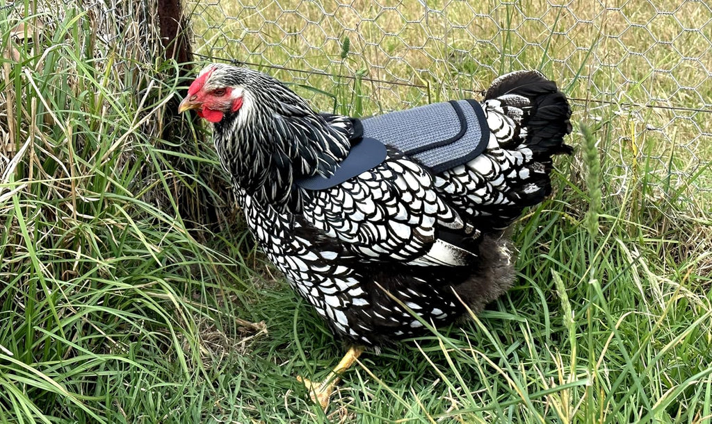 DOWN UNDER OUTDOORS Medium-Large Chicken Saddle Hen Apron Saver (Gray Mesh)
