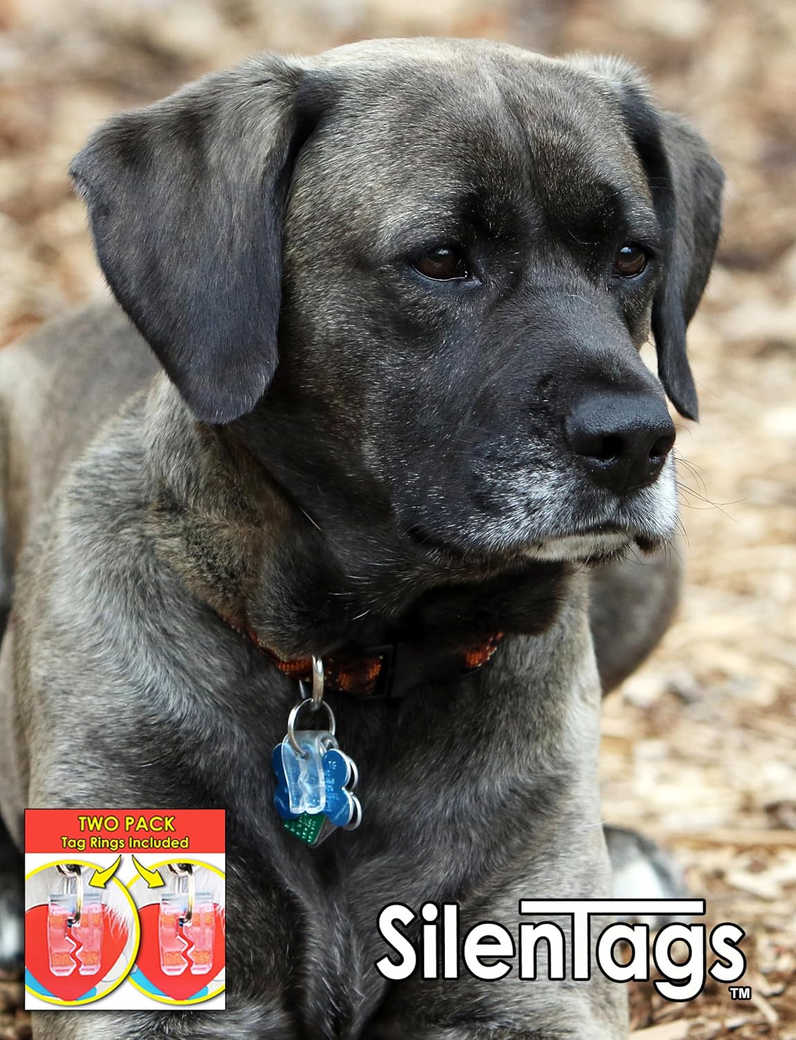 Pet Tag Silencer (Clear Two Pack)