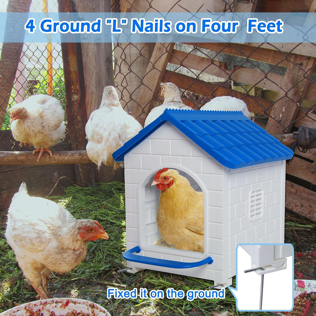 Nesting Boxes for Chicken, Large Single Compartment Chicken Nesting Boxes