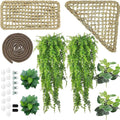 Woyrise Bearded Dragon Tank Accessories, Reptile Hammock Terrarium Decor
