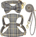 Beirui Cute Extra Small Dog Harness Collar and Leash Set by Beirui
