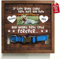 Personalized Dog Memorial Picture Frame by Bfigift