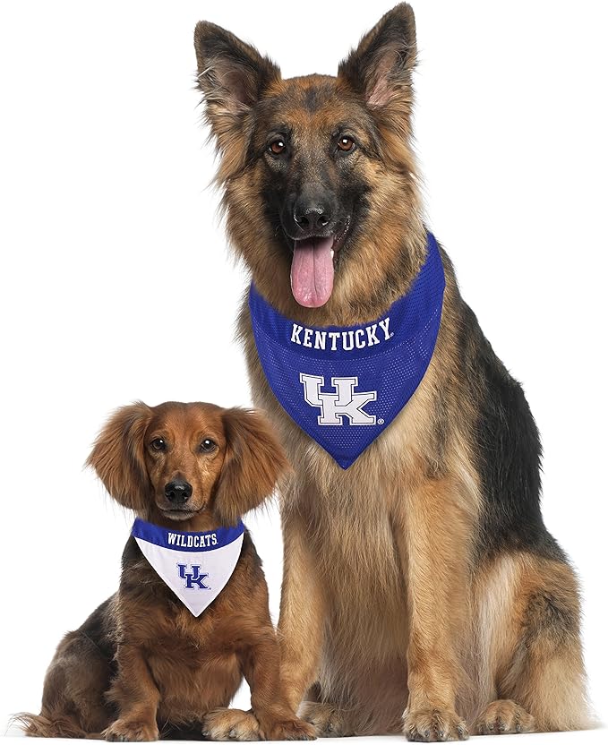 Pets First Collegiate Pet Accessories, Reversible Bandana, Kentucky Wildcats - Image 5
