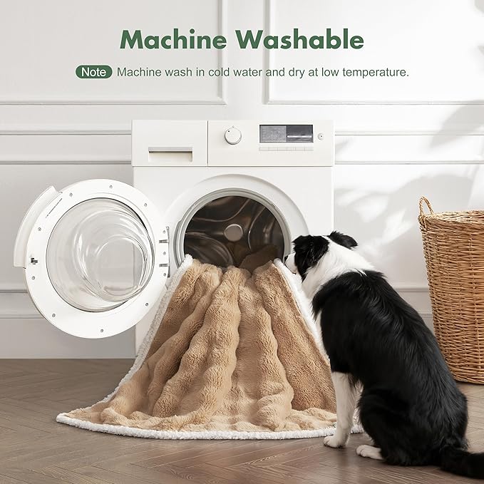 Soft Cozy Waterproof Twin Blanket - Image 6
