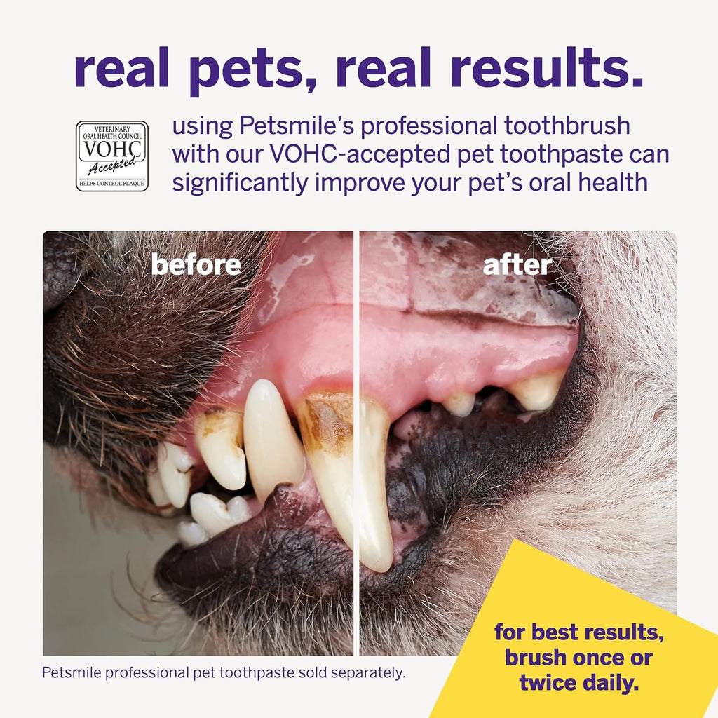 petsmile Professional Pet Toothbrush, Patented 45° Cats + Dogs