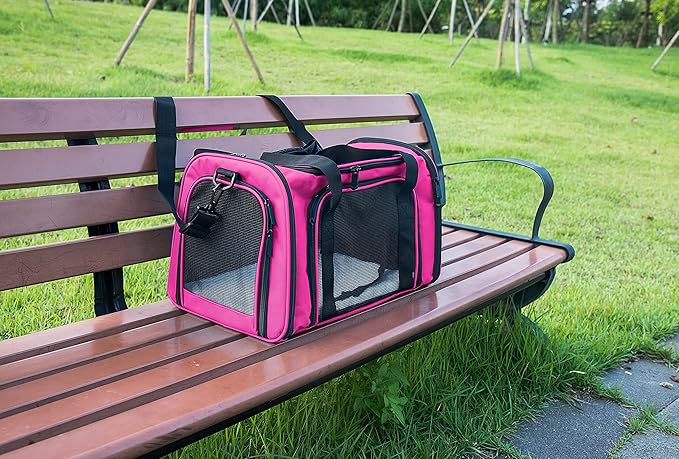 Soft Sided Carrier for Small Medium Cats Dogs, Removable Pad Collapsible Travel - Image 5