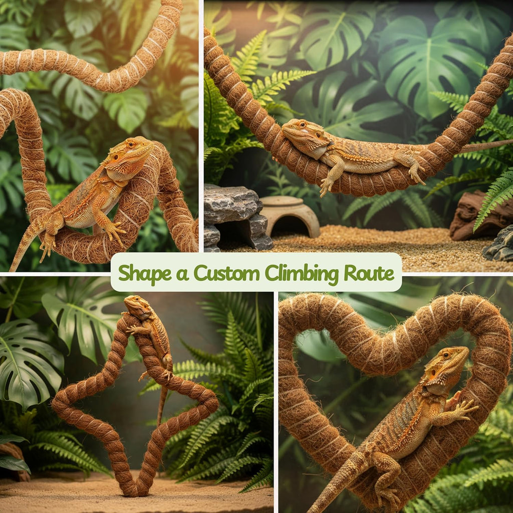 Bearded Dragon Climbing Bridge with Veggie Feeder Ball – Bendable Vine Enrichment Route for Large Tanks, Greens Intro Kit, Reptile/Lizard Tank Accessories (Salad Feeder Ball)