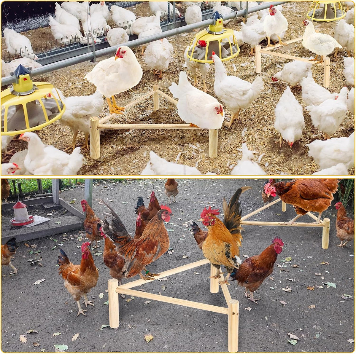 Chicken Perch for Coop & Brooder, Pine Wooden Chicken Roosting Bars (1 PCS)