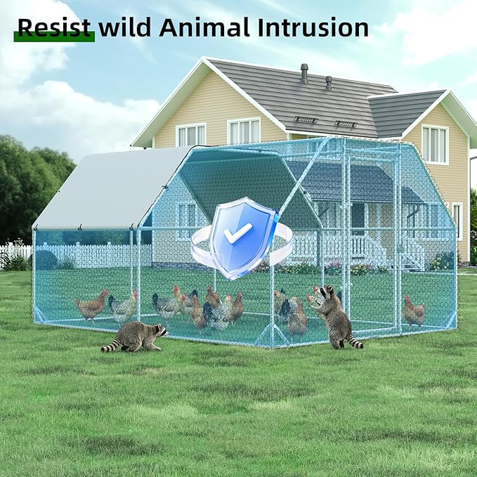 Large Metal Chicken Coop, Walk-in Chicken Run - Image 7