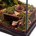 Reptile Corner Underground Cave Viewing Hide-Leopard Gecko Tank Accessories