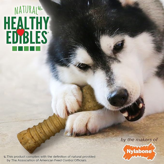 Nylabone Healthy Edibles Natural Dog Chews, Long Lasting Bones - Image 11